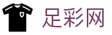 世界杯投注网站下注赛场细节与技术统计 - 足彩网